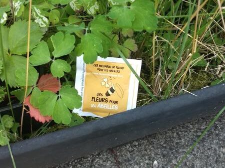 15617133250384540115216227715703