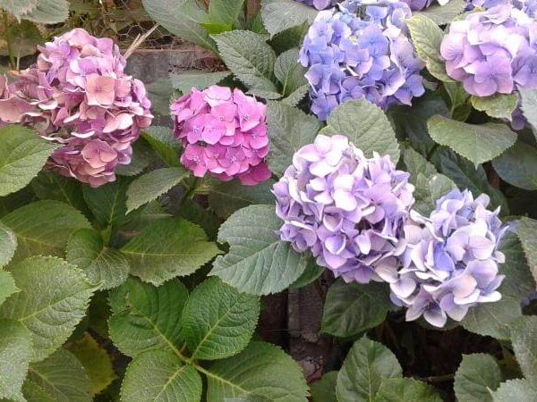 20150630_174115