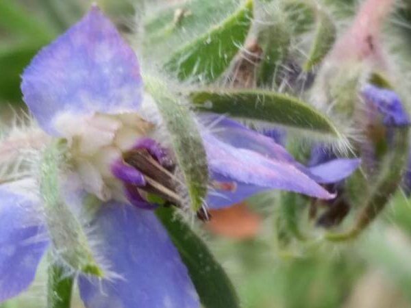 20170621_133130