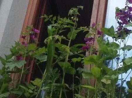 20180620_192657