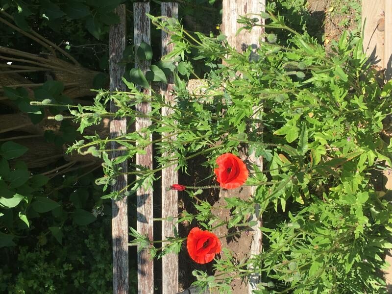 204F23A3-E5F6-4138-86DB-BAAFCD2E951D