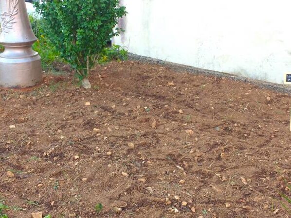 IMG_20190628_212054904