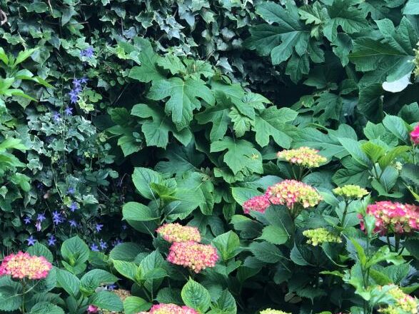 Screen Shot 2018-06-16 at 20.28.46