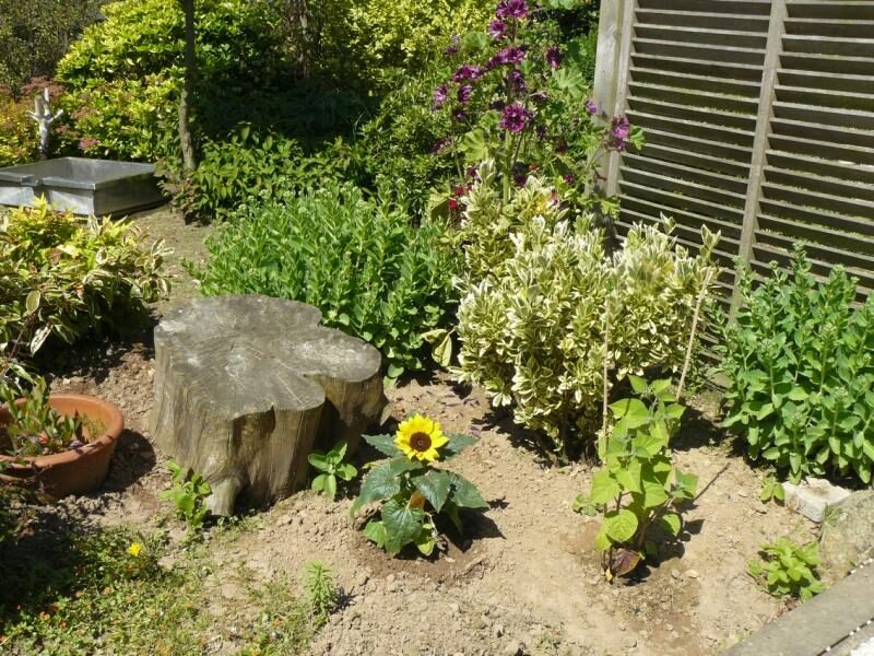 {{brizy_dc_image_alt entityId=