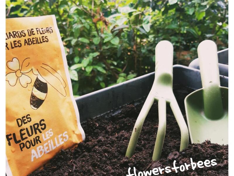 inCollage_20200419_172700622